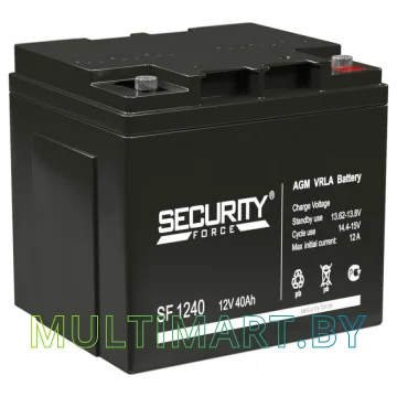 Аккумулятор для ИБП Security Force SF 1240 (12В/40 А·ч)
